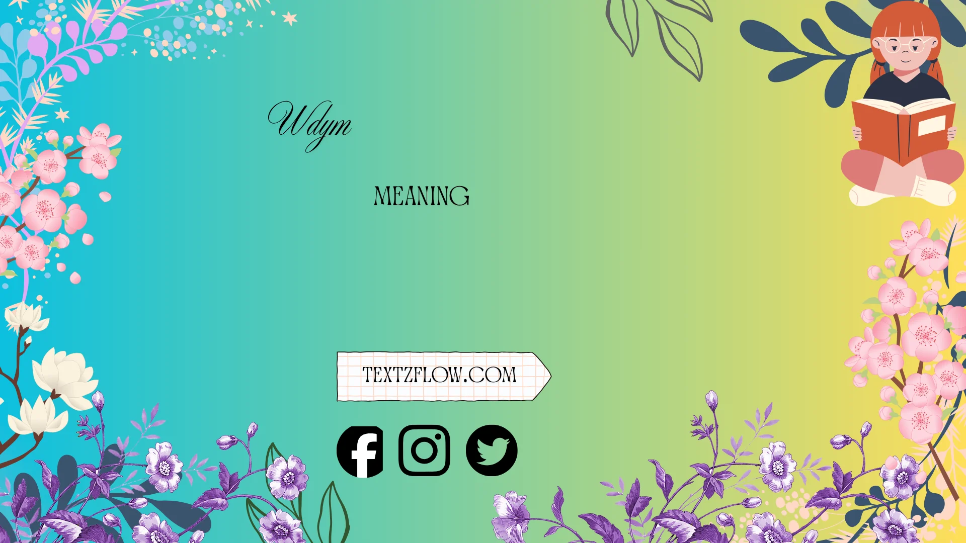 wdym meaning