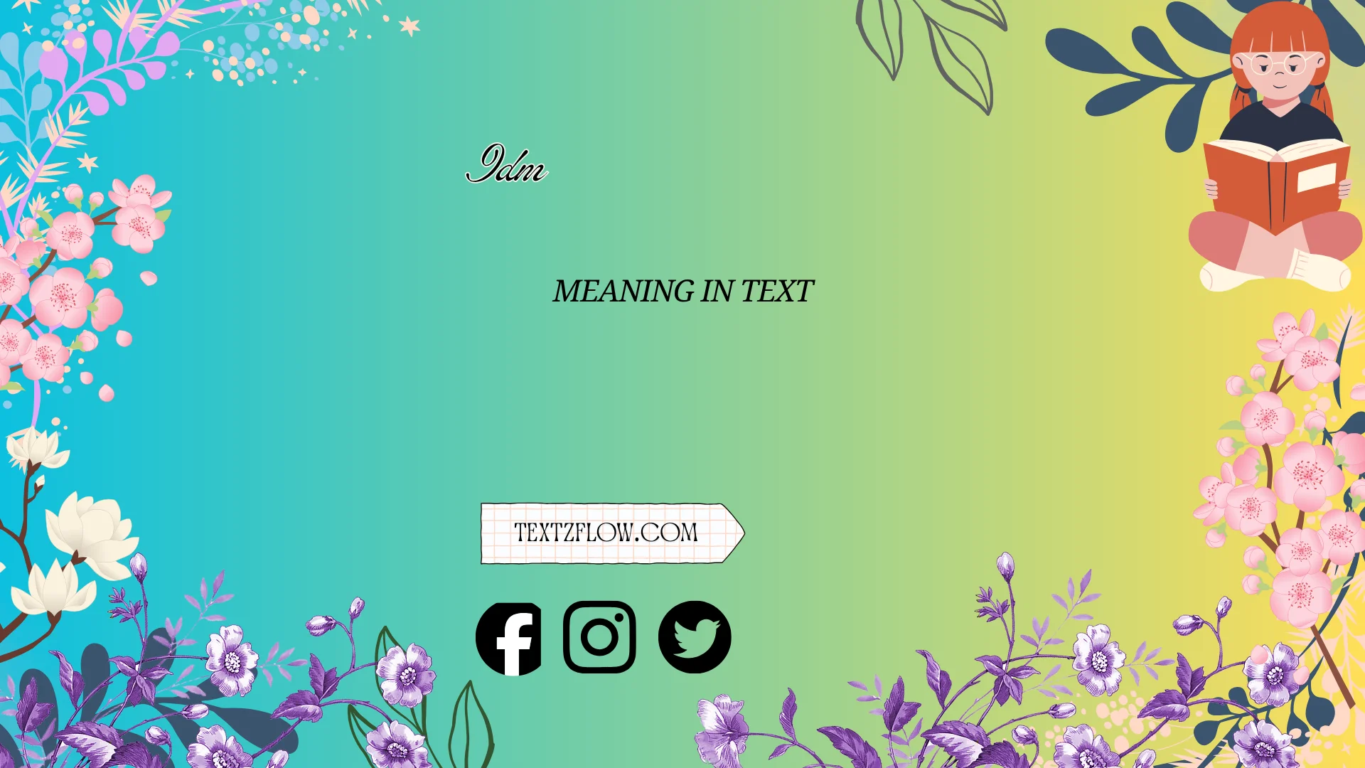 idm meaning in text
