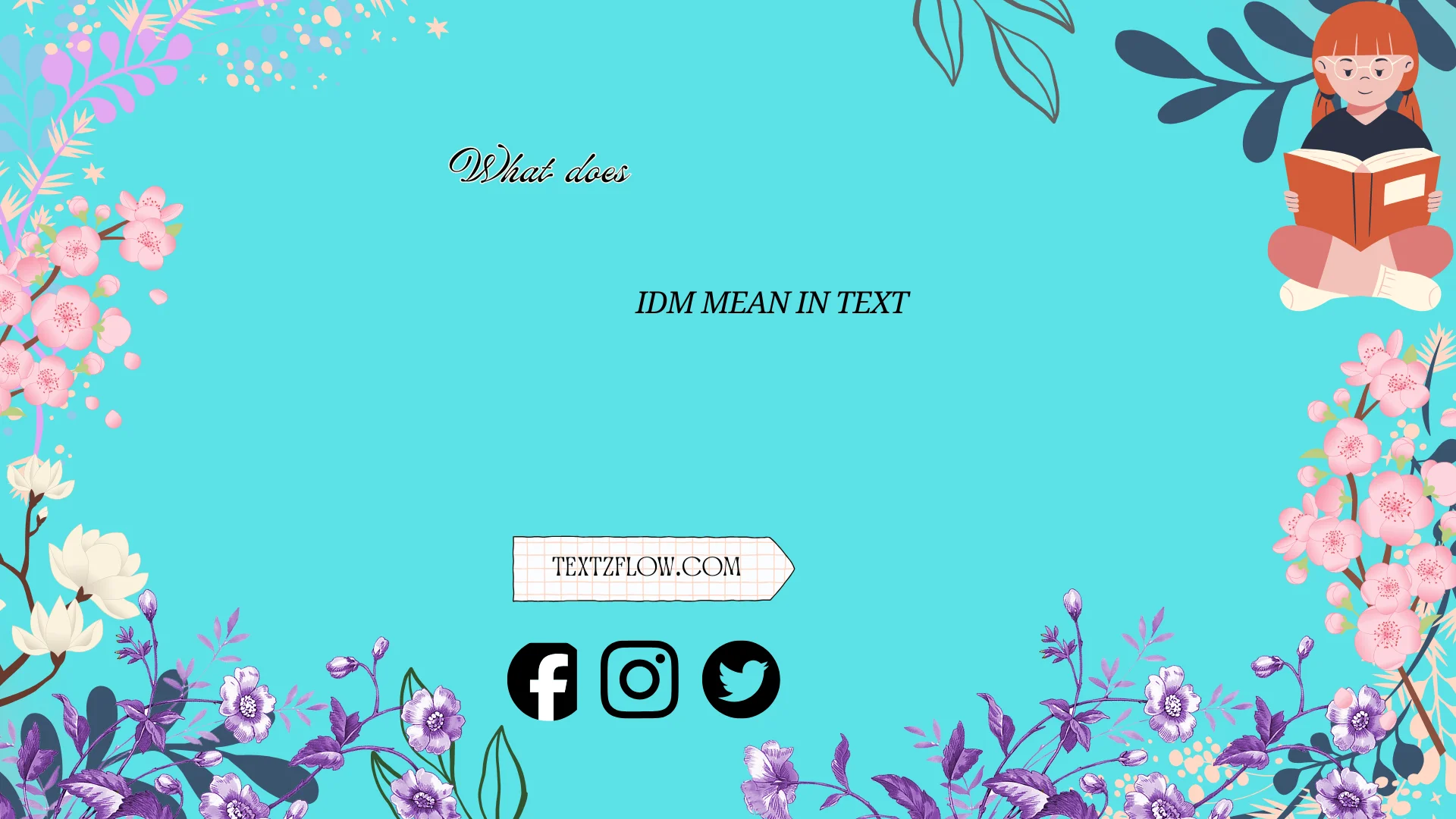what does idm mean in text