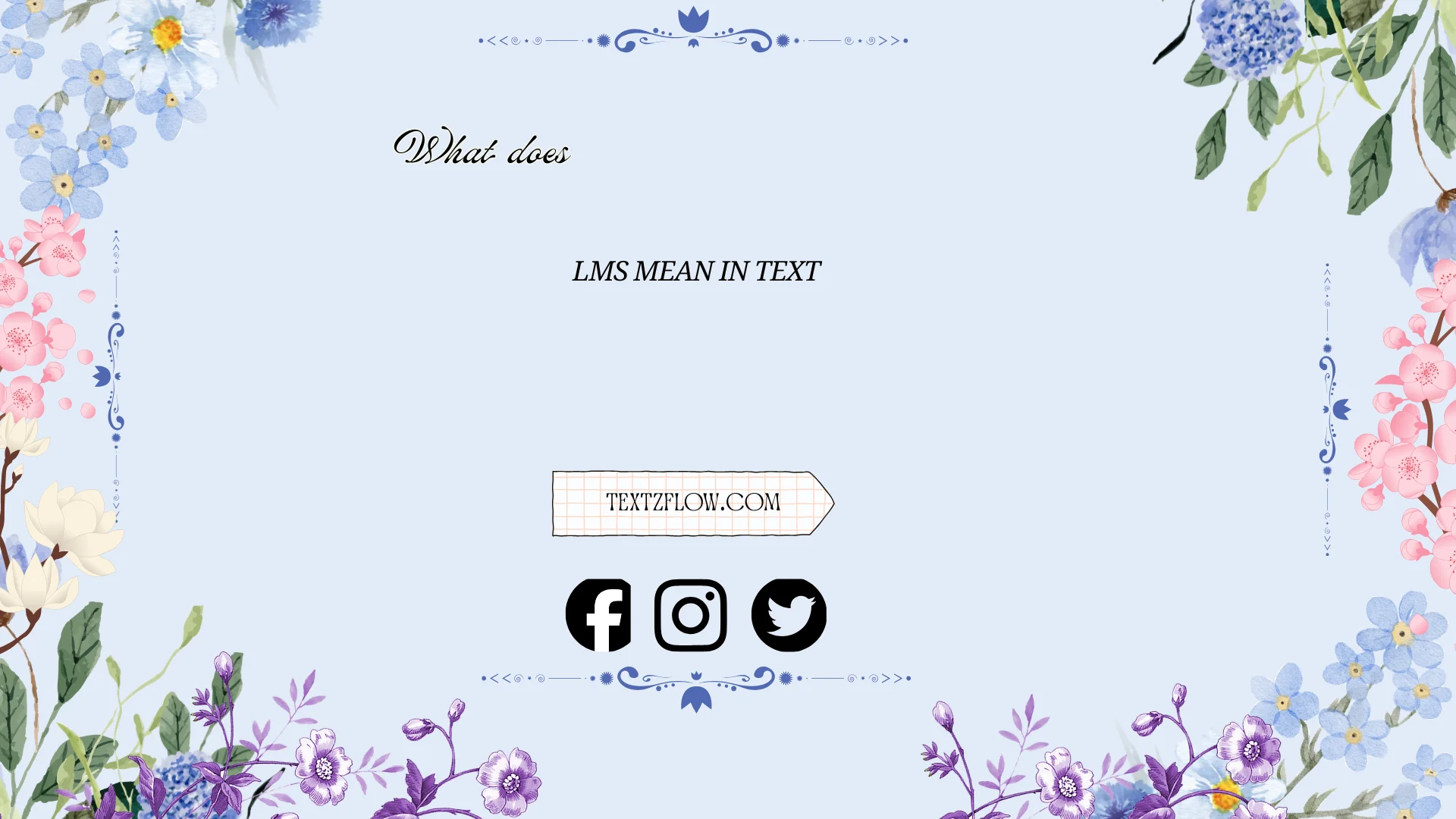 what does lms mean in text