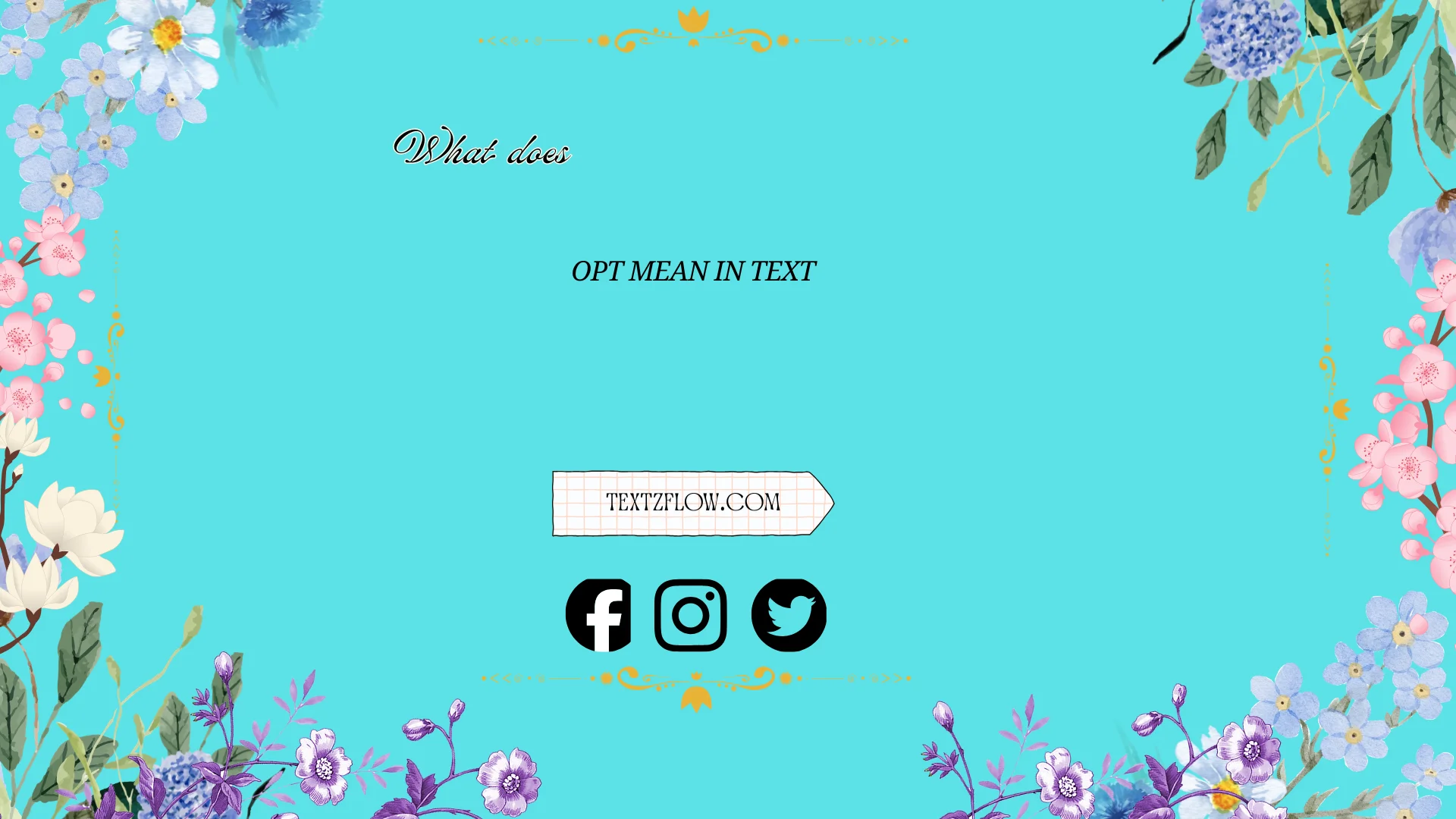 what does opt mean in text