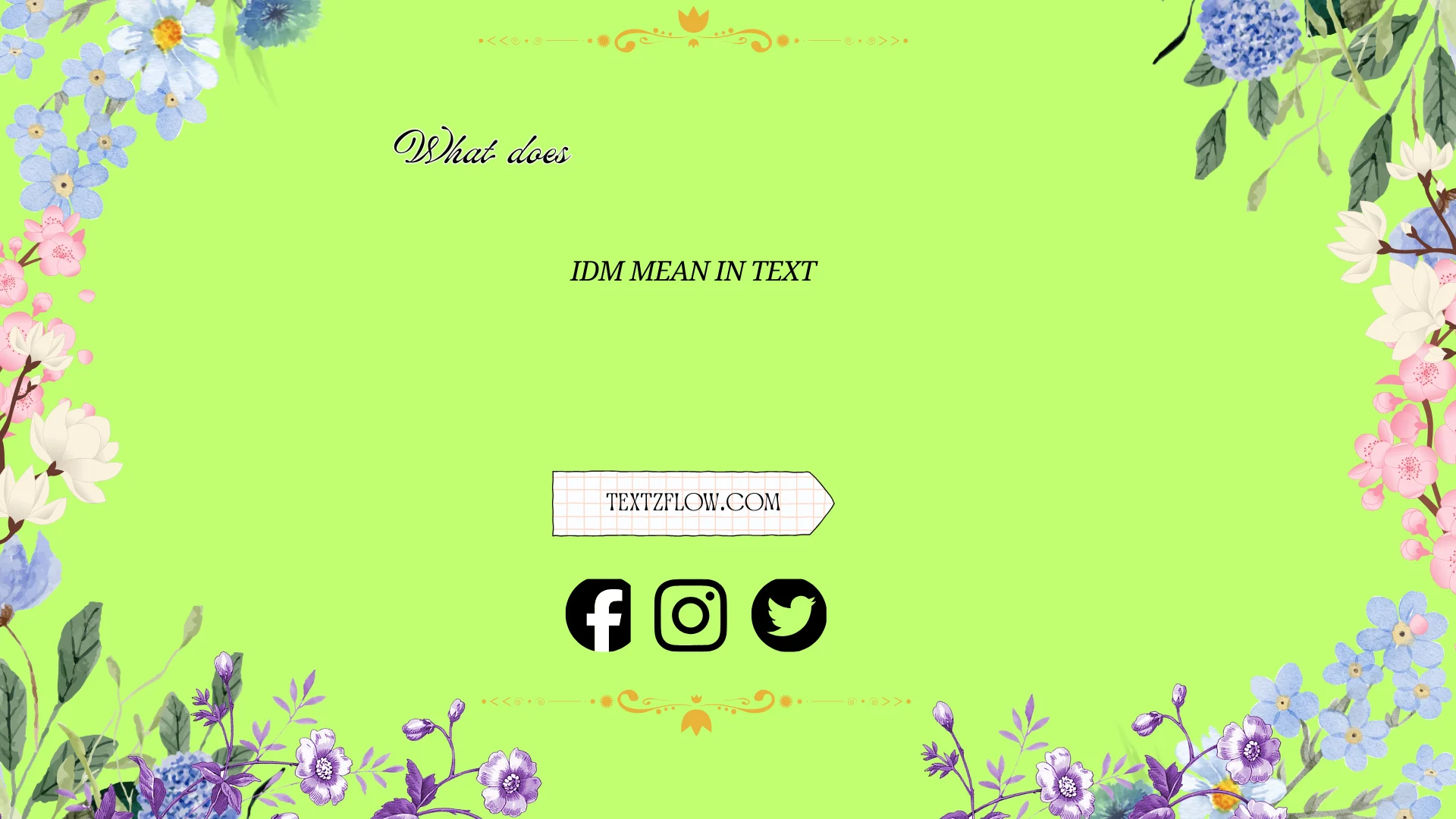 what does idm mean in text