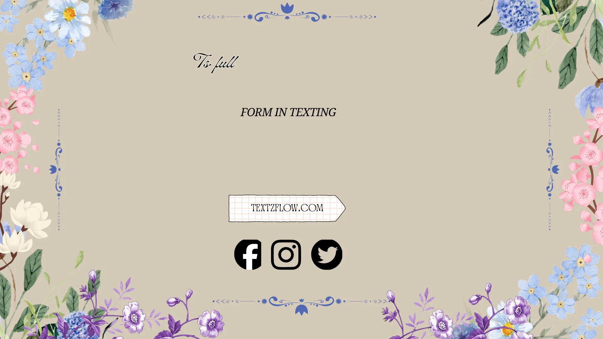 ts full form in texting
